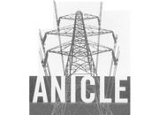 anicle-def
